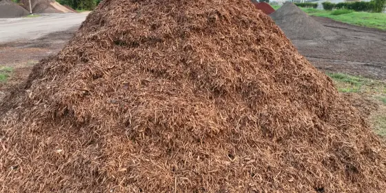 Pila alta de mulch de cedro café claro y desmenuzado en la yarda de menudeo, con pilas más oscuras y el puente de la autopista atrás