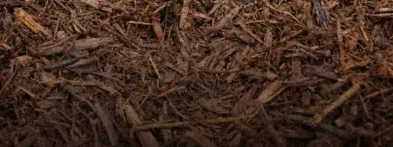Textura en acercamiento de mulch nativo envejecido café oscuro que se oscurece hacia abajo