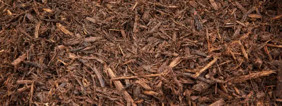 Acercamiento de mulch nativo envejecido café oscuro, con hebras fibrosas y pequeñas astillas de madera