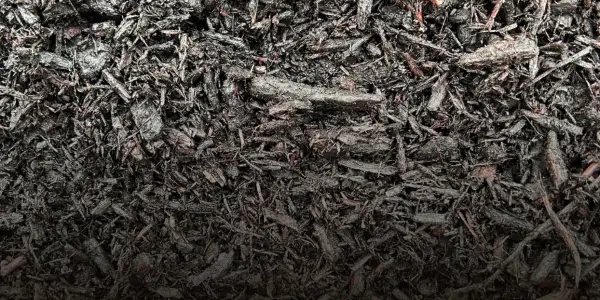 Close-up texture of black dyed shredded hardwood mulch with a few reddish undertones