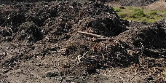 Gran pila de ramas, maleza y restos de madera listos para triturar, con árboles y casas al fondo