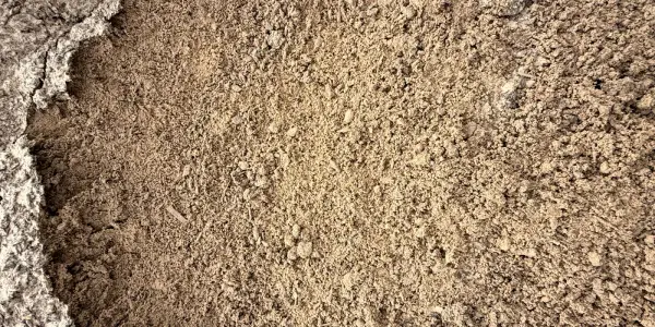 Close-up of light tan, sandy Lawn Mix with small crumbs of compost