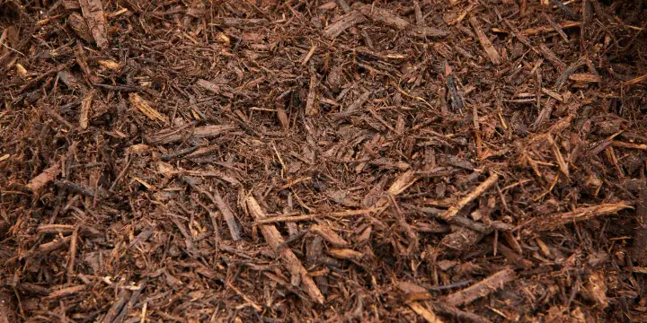 Close-up of a pile of dark brown shredded native hardwood mulch