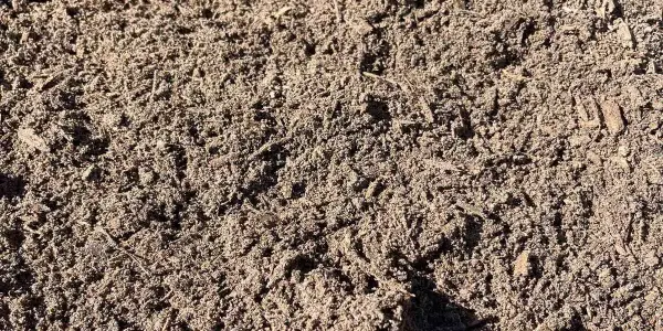 Acercamiento al sol de tierra negra franco arenosa cernida gris-café con raicillas y fibras pequeñas