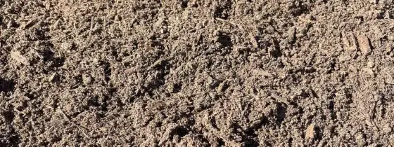 Acercamiento al sol de tierra negra franco arenosa cernida gris-café con raicillas y fibras pequeñas