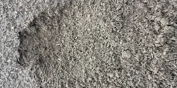Close-up of fine gray-brown Tree & Shrub Mix with short wood fibers