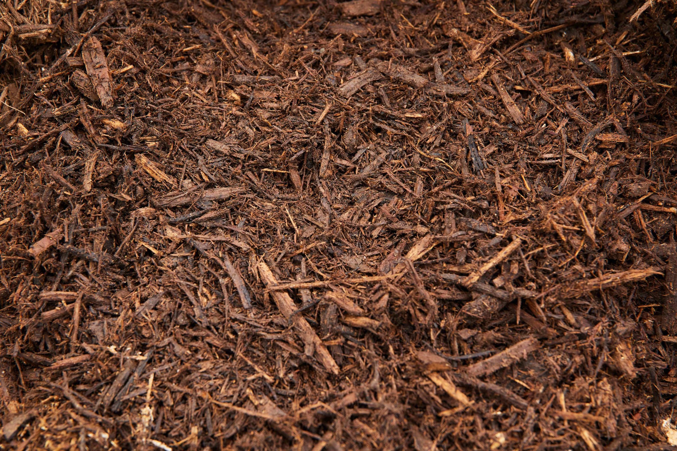 Proper Mulch Application for Your Garden Beds Casco