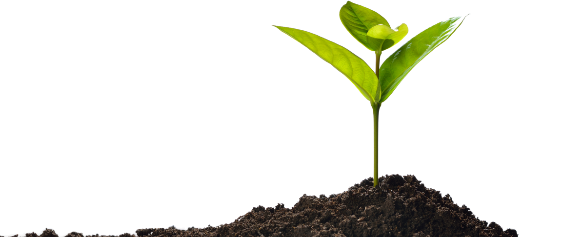 Casco Organics | Premium Soil Blends and Mulches